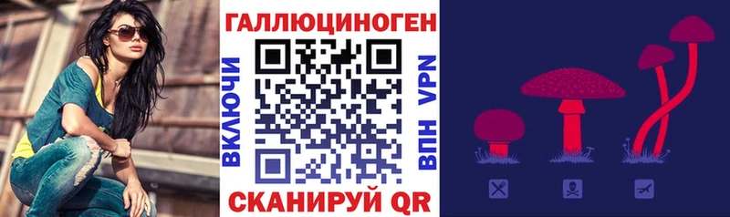 как найти закладки  Буинск  Галлюциногенные грибы Cubensis 